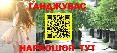 СК Шелехов