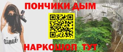 СК Шелехов
