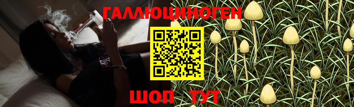 Галлюциногенные грибы GOLDEN TEACHER  Вход с VPN  Белогорск  Галлюциногенные грибы прущие грибы 